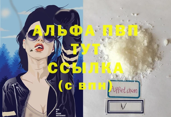 стафф Богданович